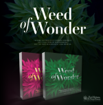 Livro Weed of Wonder by  Hash Marihuana & Hemp Museum