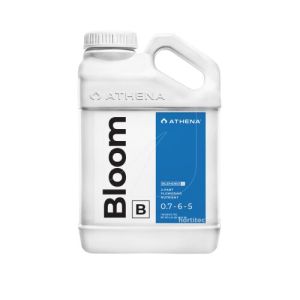 BLOMM