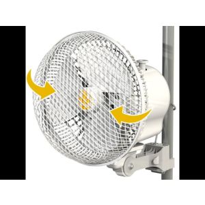 Monkey Fan Oscilante 20W